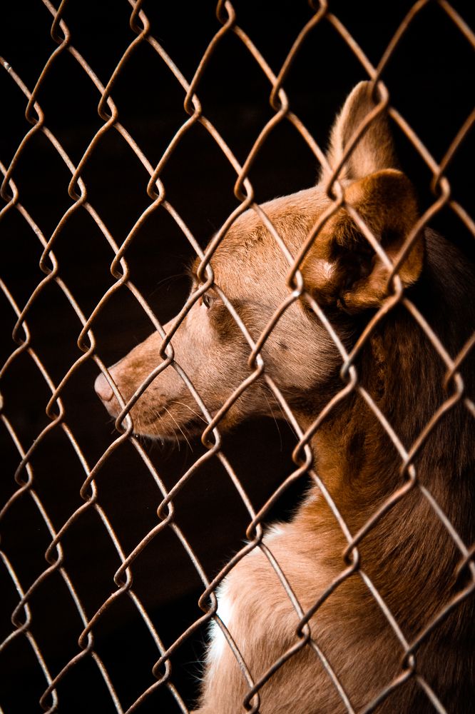 Photograph by Александр Карпухин