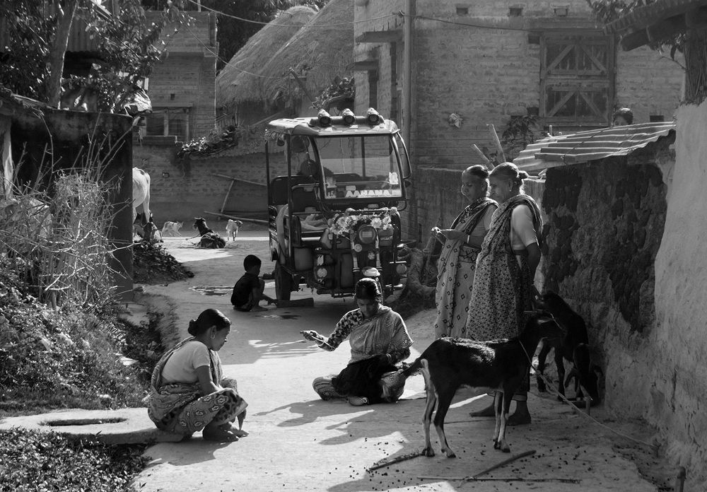 Photograph by Mainak Biswas