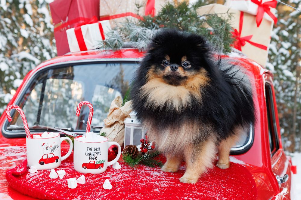 Photograph by Анна Юрочкина