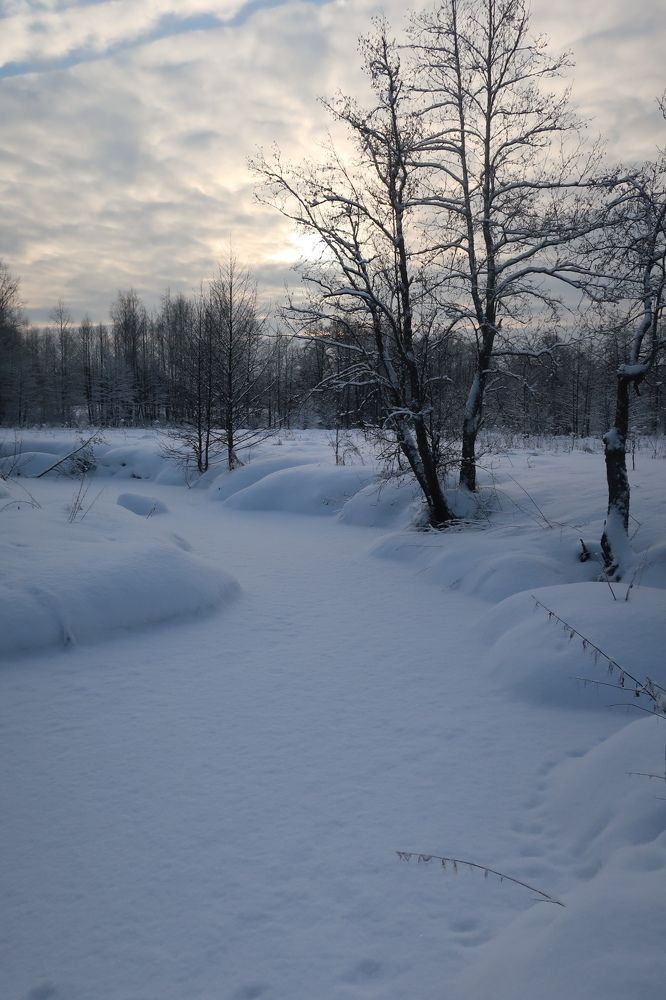 Photograph by Надежда Ткаченко