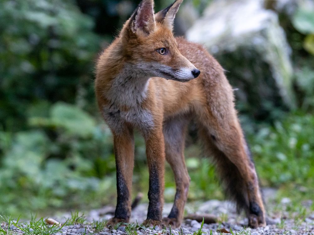 Photograph by Sebastian