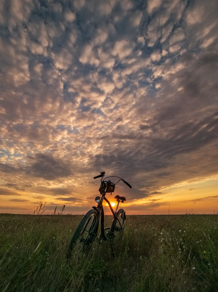 Только мы с конём...