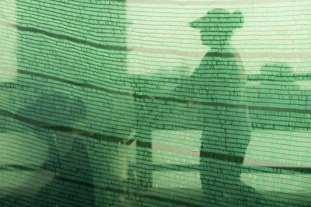 Photograph by Ro Seat