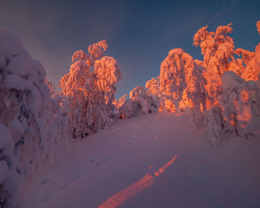 Фотография автора Егор Бушмакин
