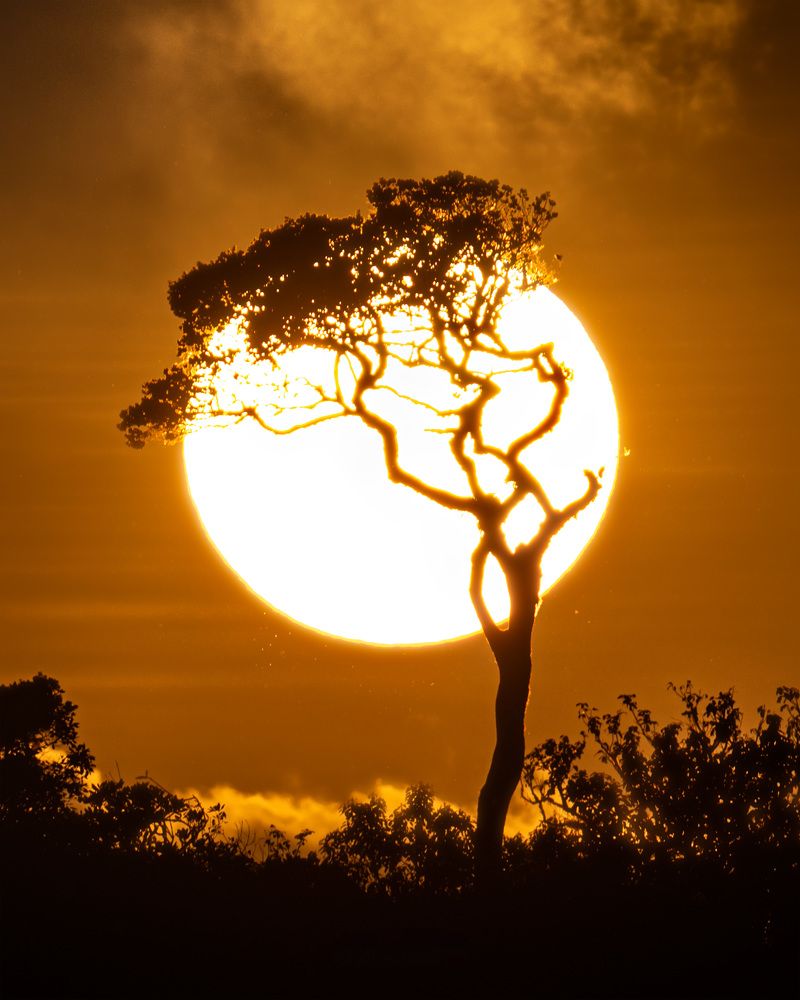 Photograph by Damith Gihan