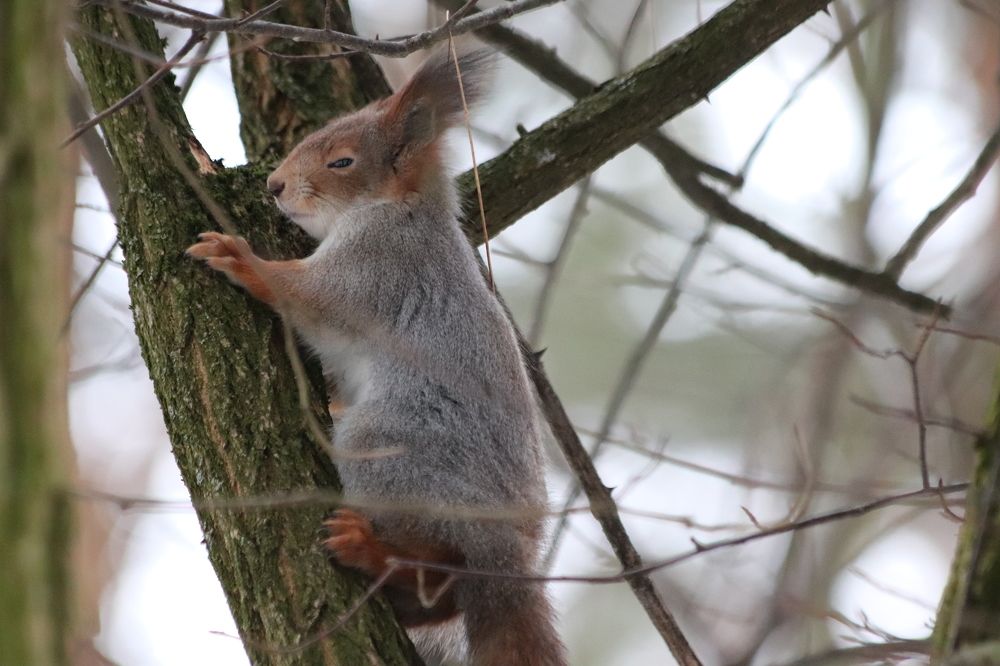Photograph by Ivankina Elena