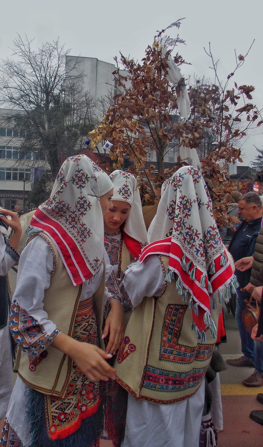 Photo #10360633
