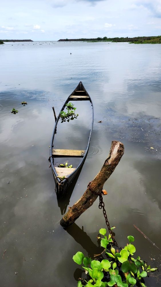 Photograph by hamzeh momeni