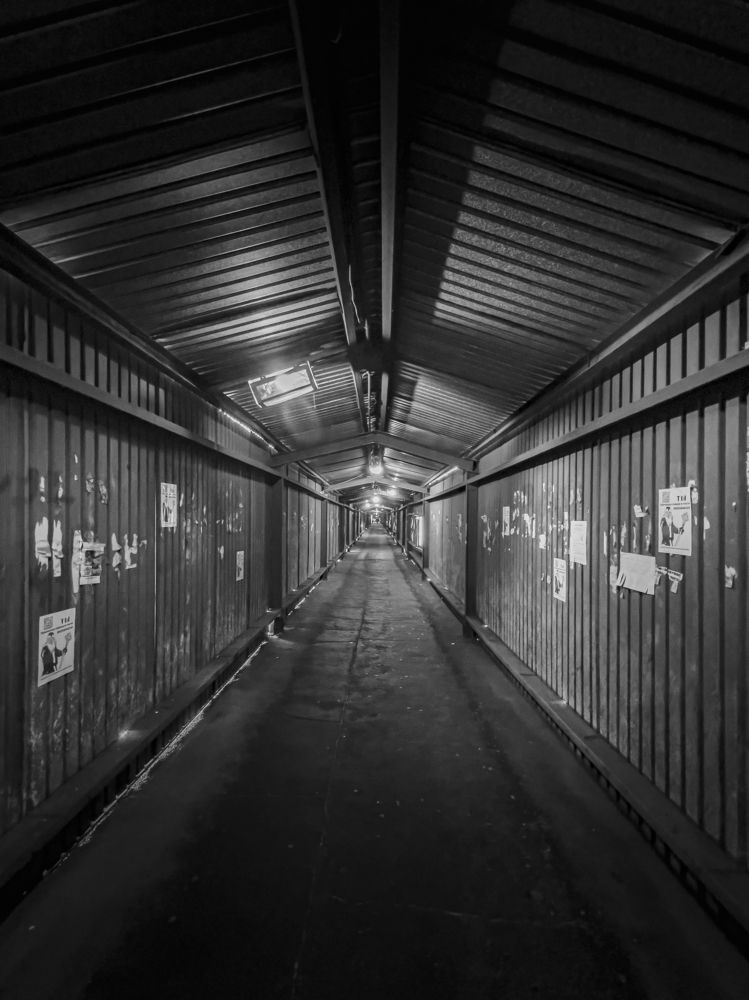 Photograph by Алексей Афанасьев