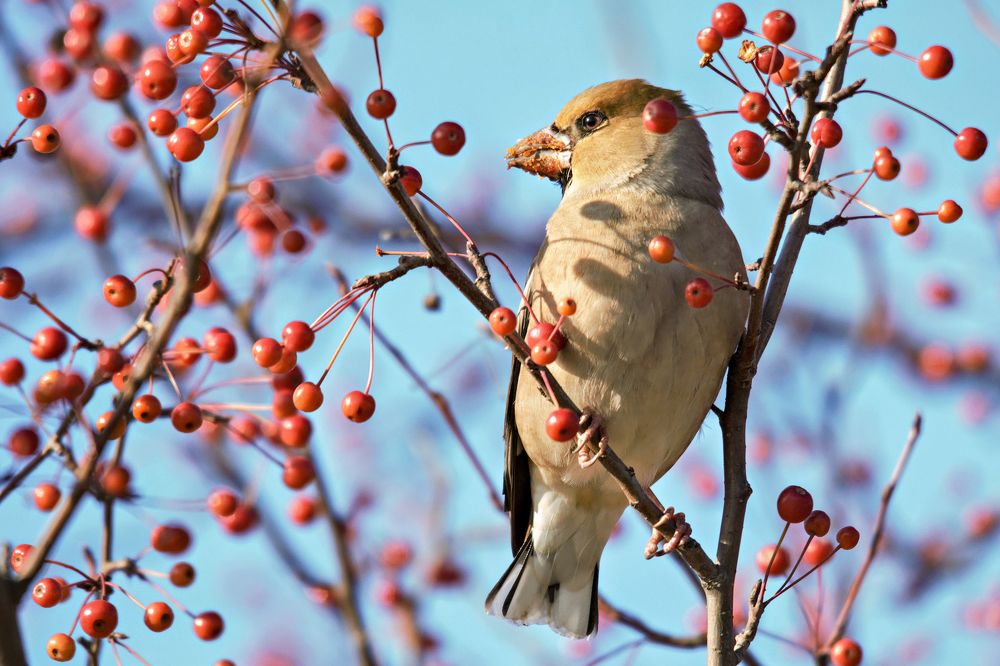 Photograph by Виктор Чернюк