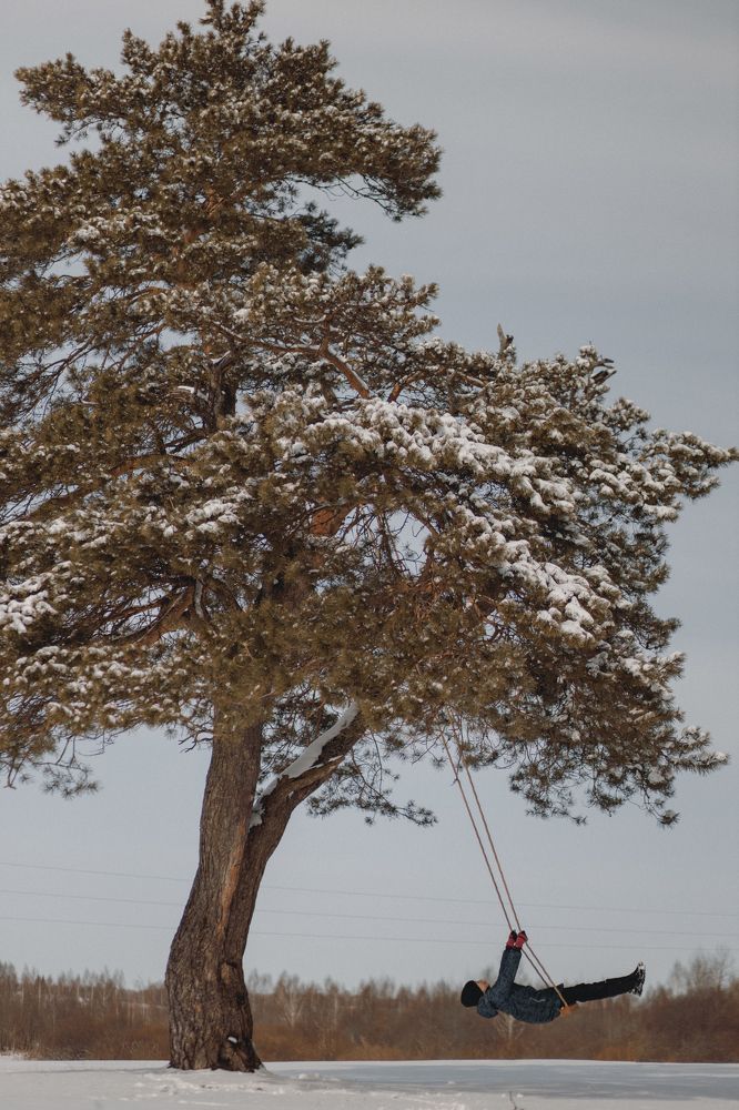 Photograph by Михеев Павел