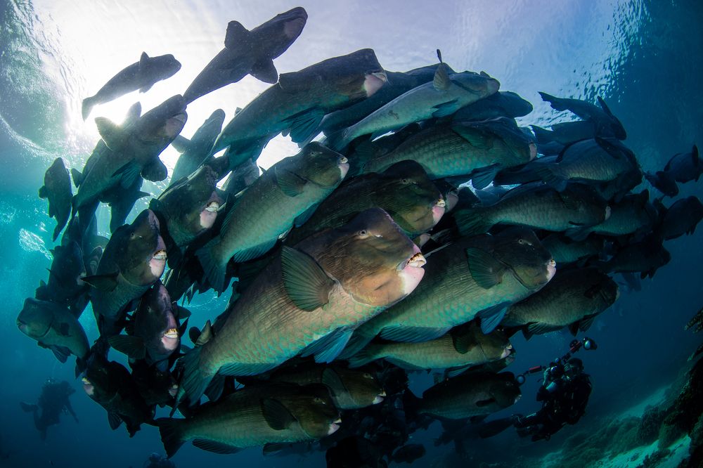 Photograph by Carlos Eduardo Barreto Pinheiro