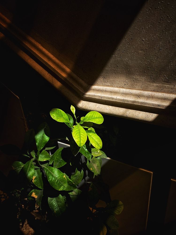 Photograph by Maedeh Sharifi