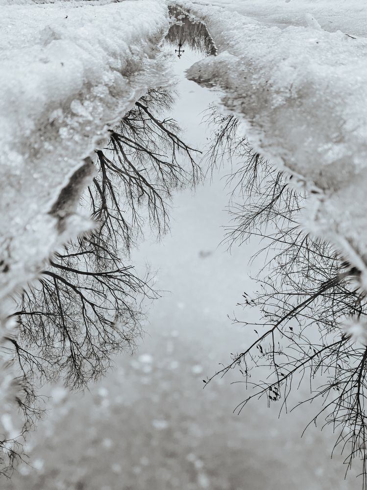 Photograph by Алексей Афанасьев