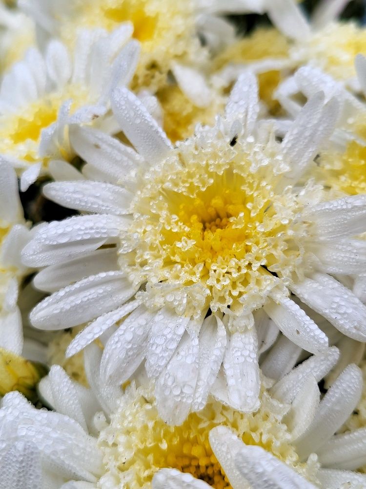 Photograph by Debayan Bag
