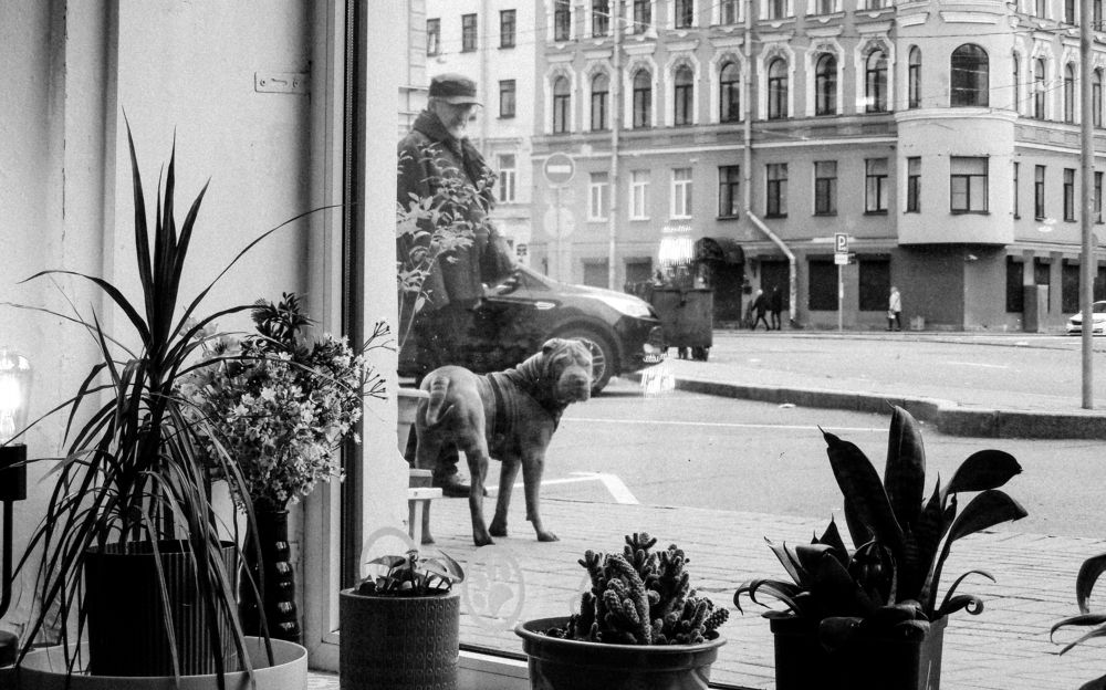 Фотография автора Анастасия Бондарчук