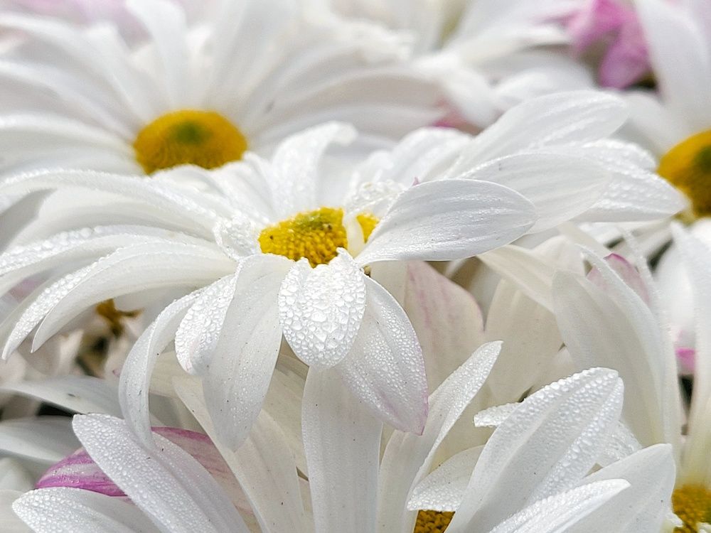 Photograph by Debayan Bag