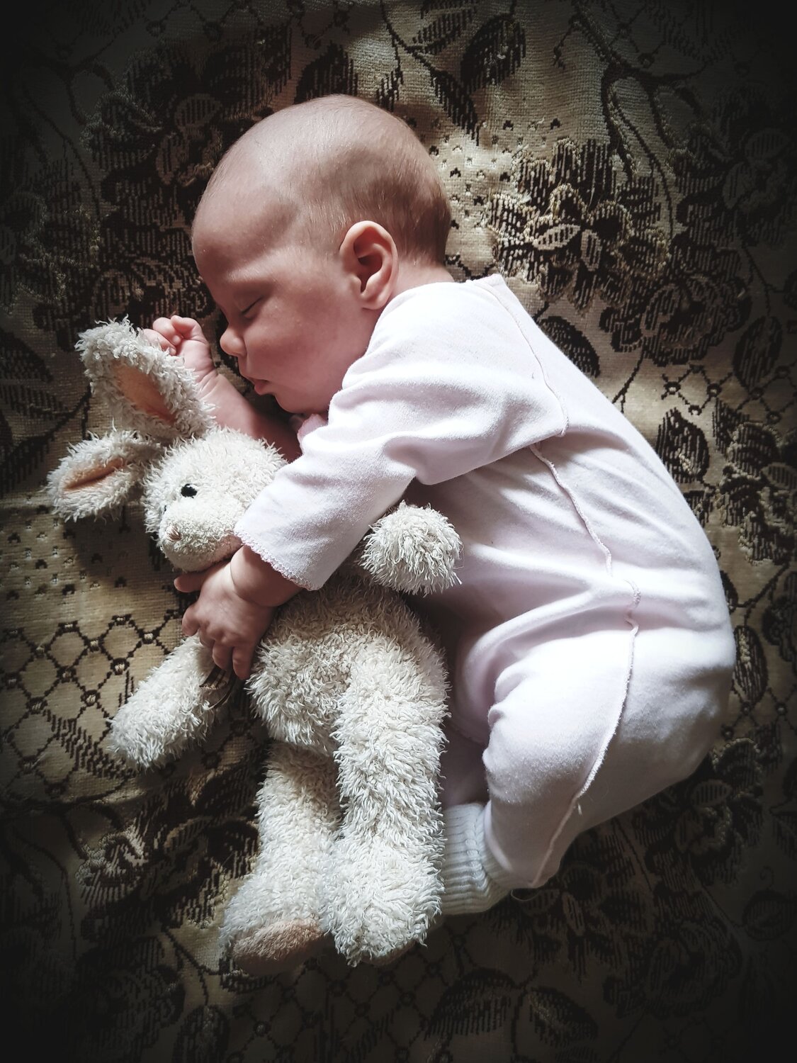 Photo #10360752