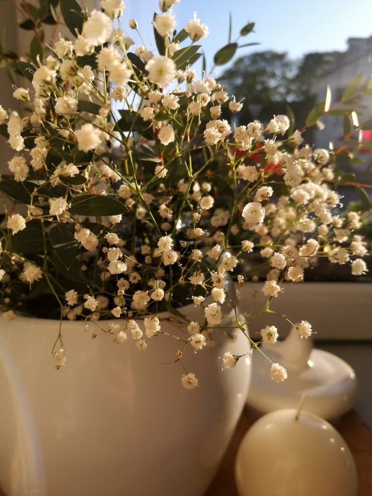 Photograph by Юлія Гацко