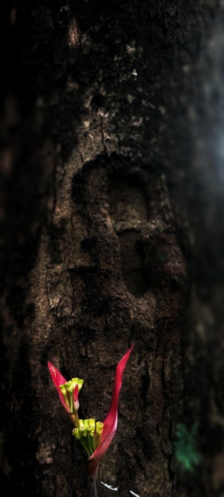 Photograph by Efren Victorino