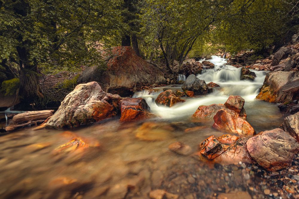 Фотография автора Guillermo A.Sollano