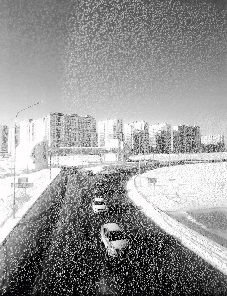 Photograph by Анастасия Мухаметшина