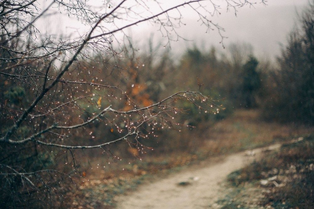 Photograph by Раиса Алексеева