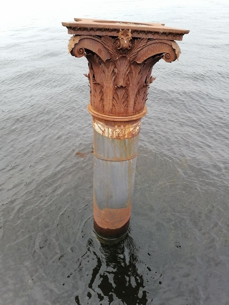 Photo #10360905