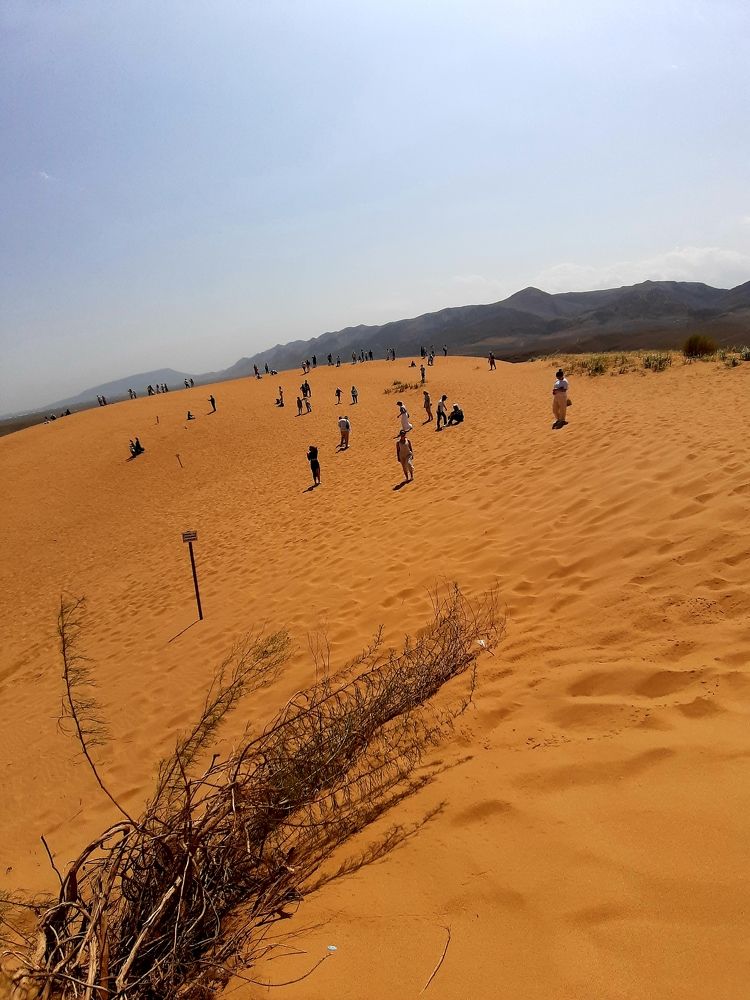 Photograph by Белоусов Александр