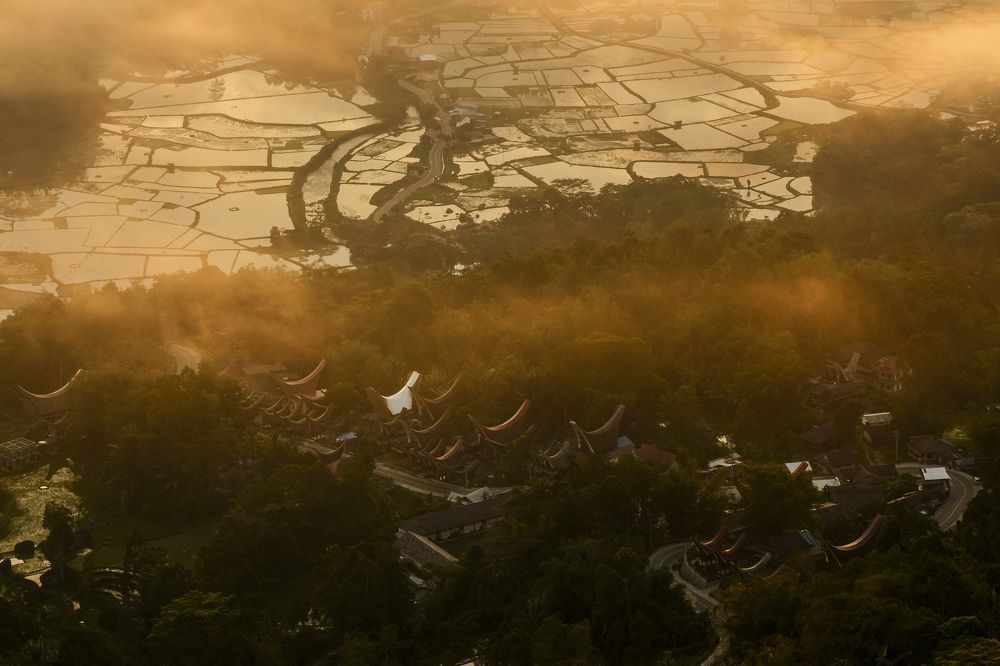 Morning atmosphere of the Tongkonan traditional house