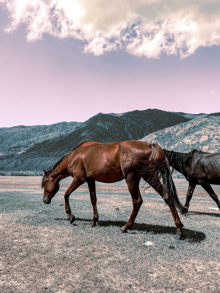 Photograph by Inna Zyryanova