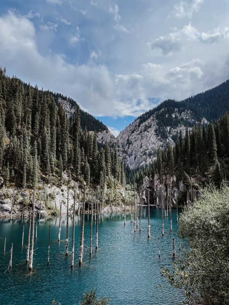 Photograph by Inna Zyryanova