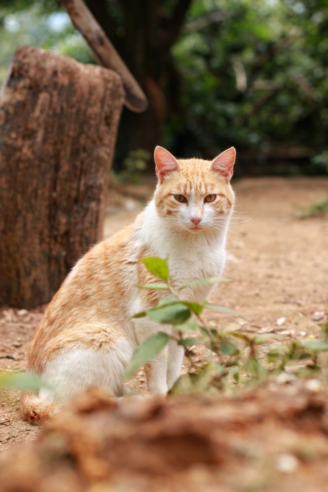 Photograph by Stiven