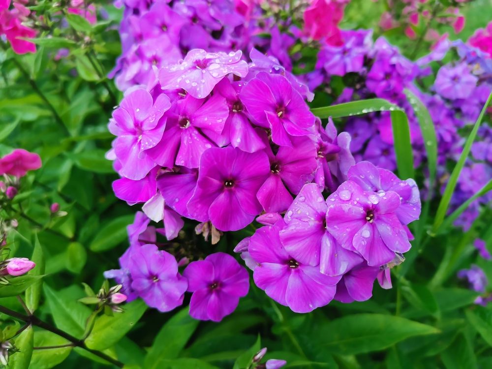 Photograph by Анастасия Мальцева