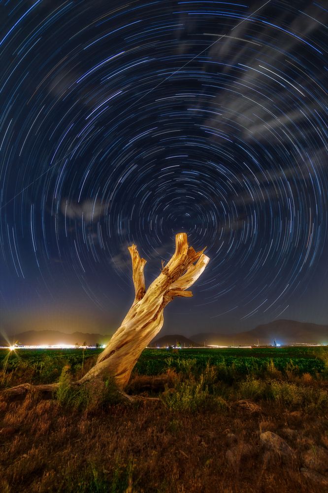 Photograph by Hamid espanani