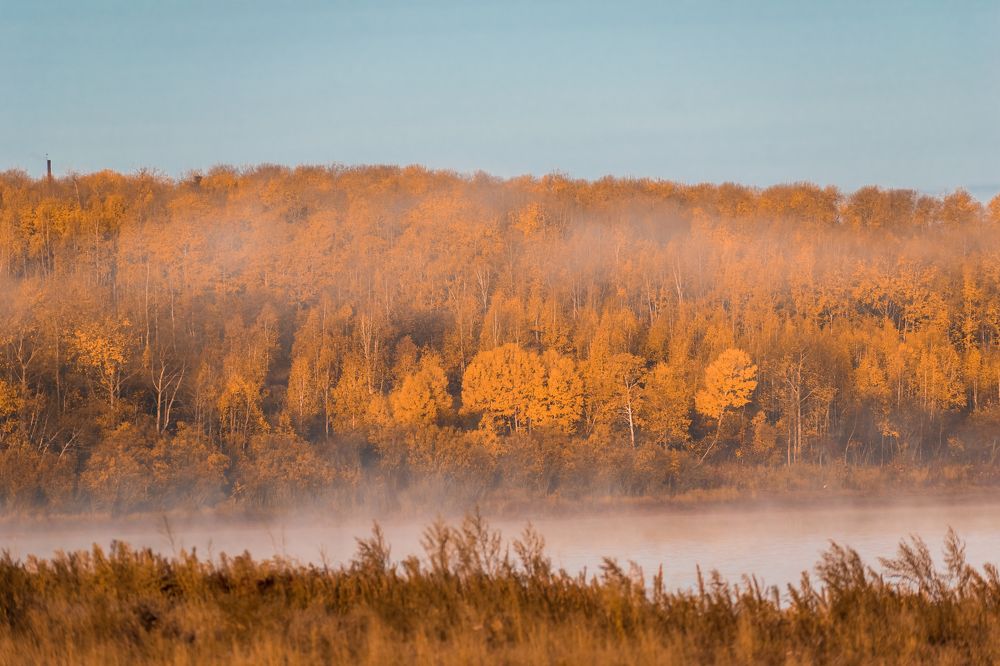 Photograph by Irina Luidinshina