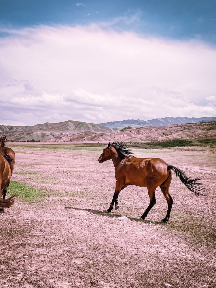 Photograph by Inna Zyryanova