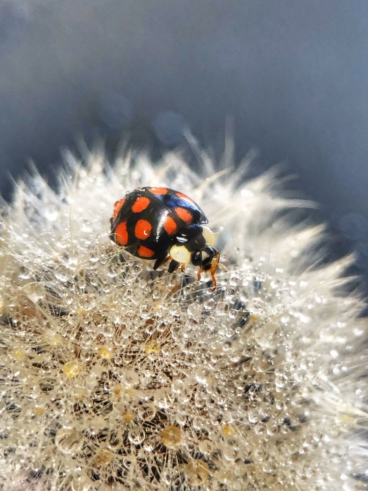 Photograph by Светлана Дмитриева