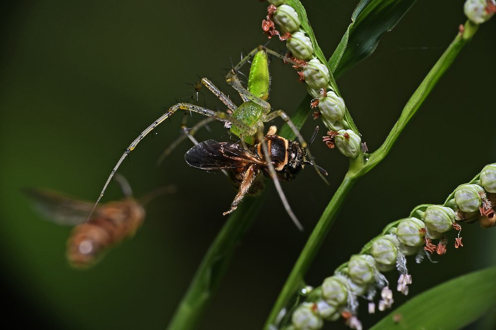Photograph by Atanu Mondal