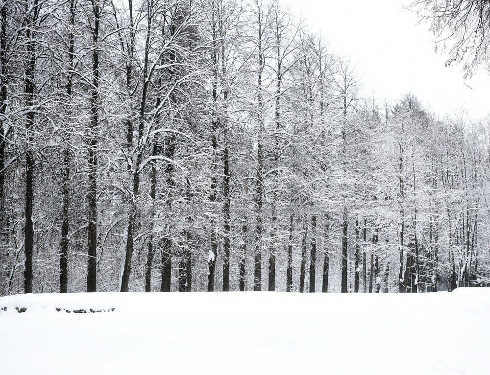 Photograph by Kseniya Shilina