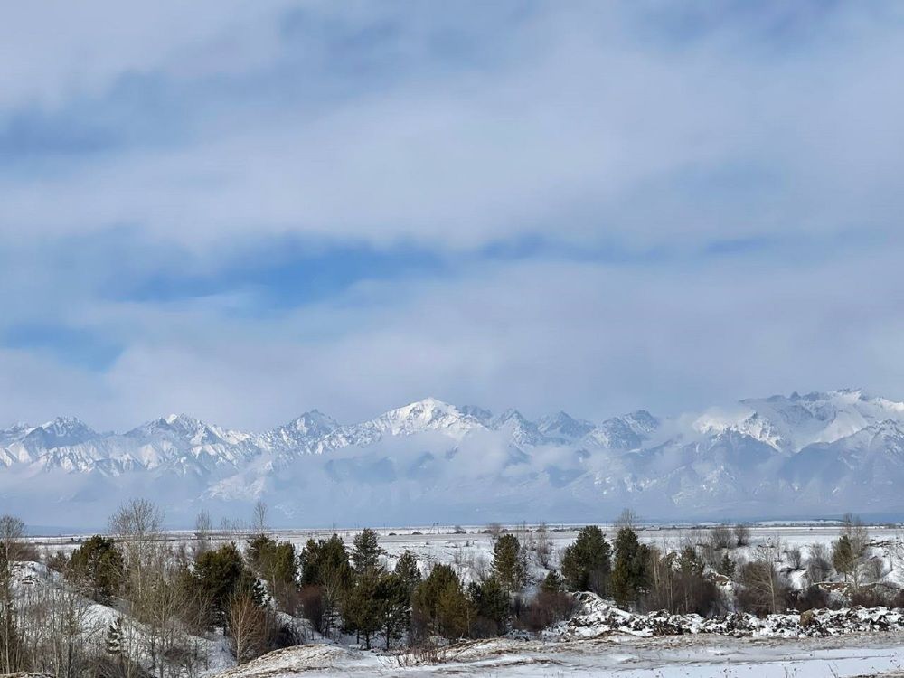 Фотография автора галина лапшина