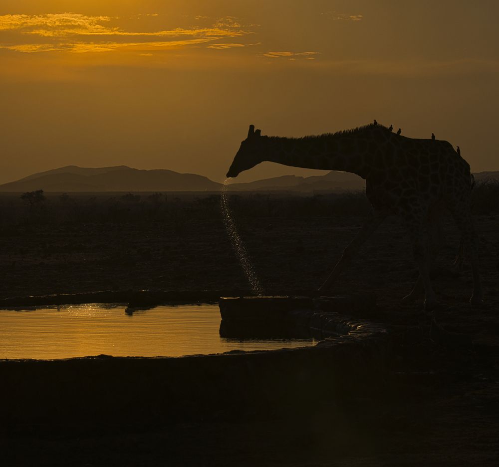 Photograph by Jeff Birmingham