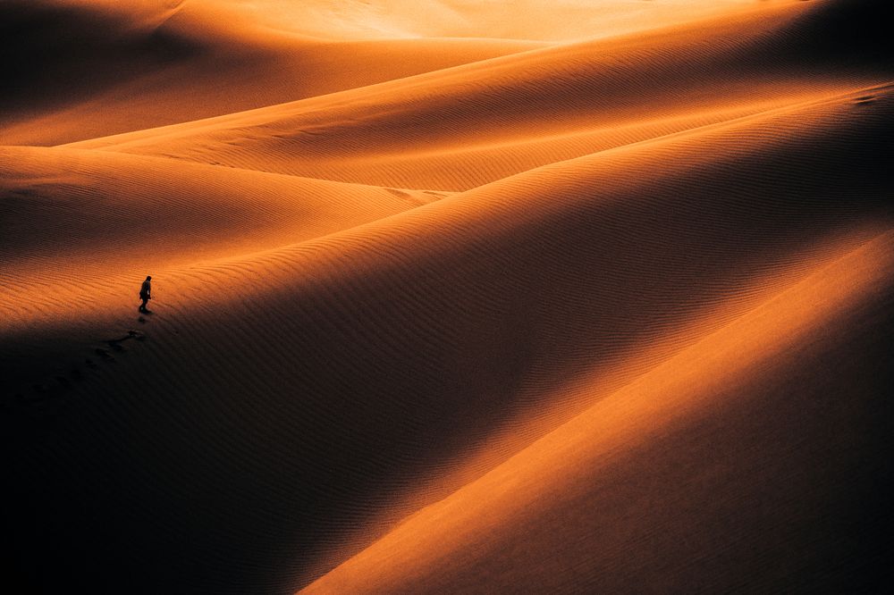a stranger in desert