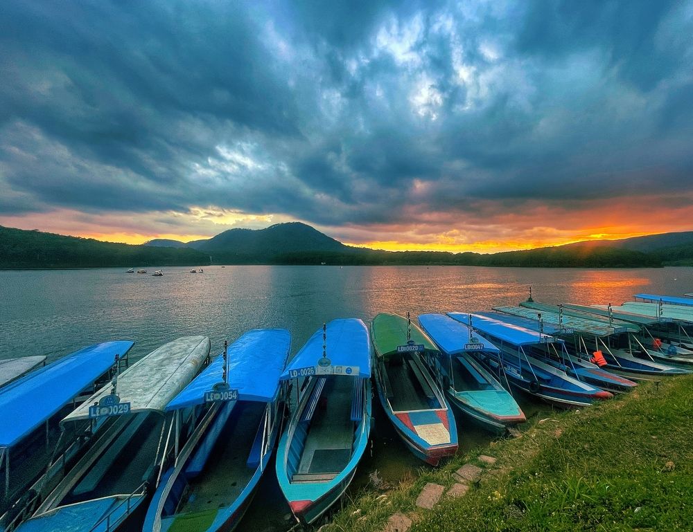 Photograph by Dong Huynh