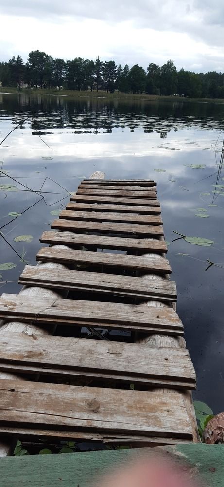 Photograph by Татьяна Медведева