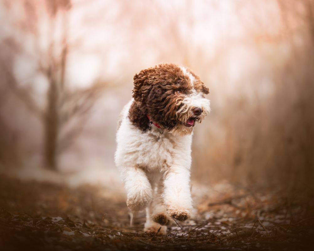 Photograph by Dmitry Ishniyazov