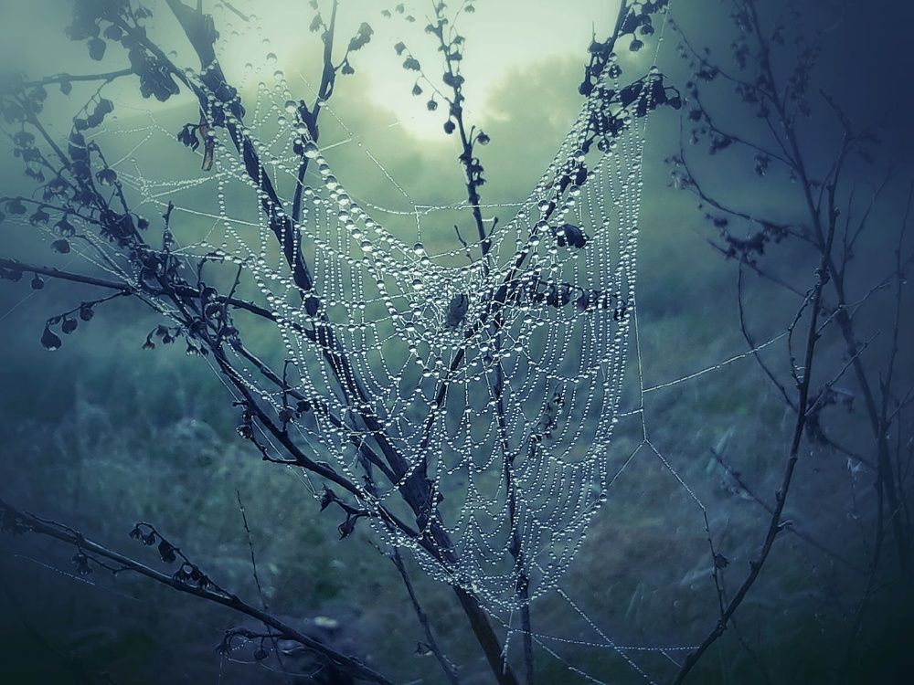 Photograph by Марина Мальцева