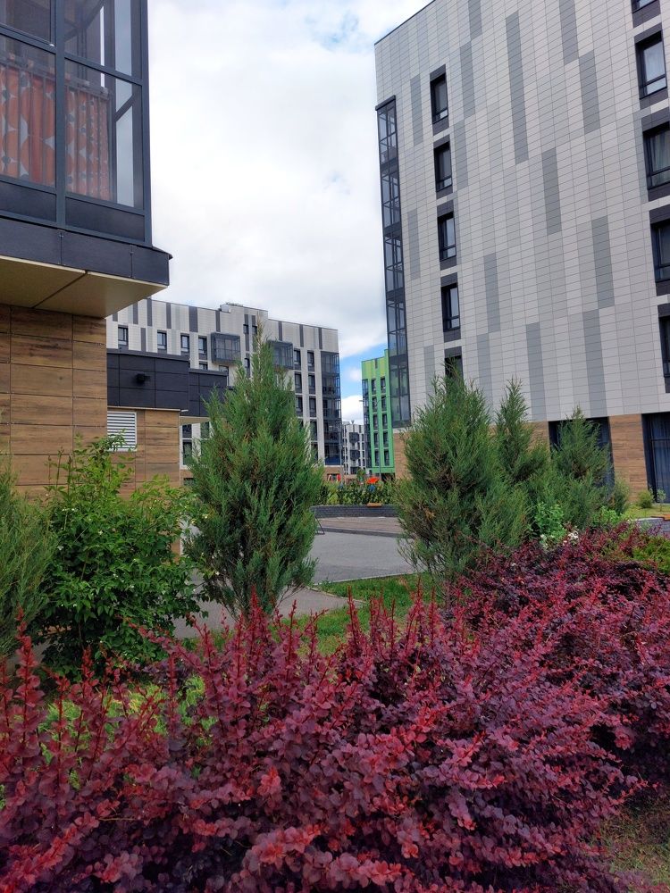 Photograph by Галина Беляева