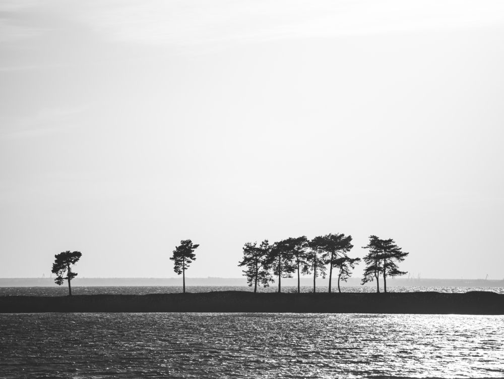 Photograph by Денис Ф