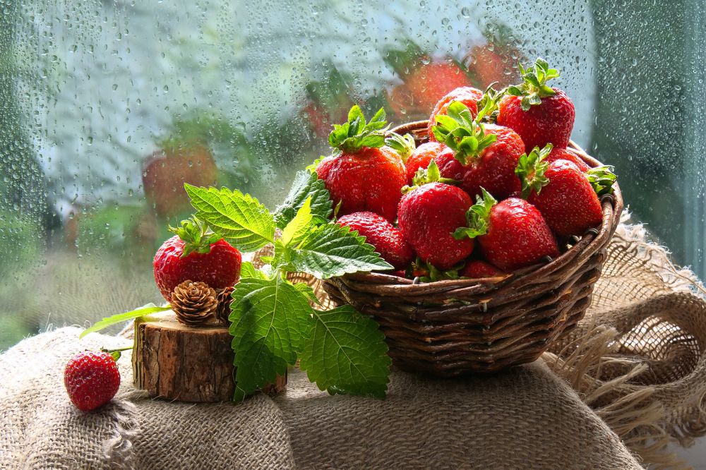 Photograph by Наталья Заровнева